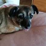Linda Rickard - @linda.rickard.56 - Instagram