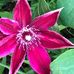 Linda Ringer - Facebook