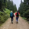 lindaharringer - @lindaharringer - TikTok