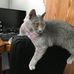 Linda Ringler - Facebook