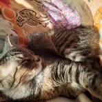 Linda Risher - Facebook