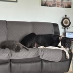 Linda Robichaud - @robichal - Instagram