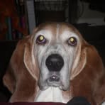 Linda Ronk - Facebook