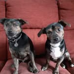 Linda Rowlands - @linda.rowlands.14 - Instagram