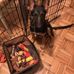 Linda Ruby - Facebook