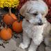 Linda Samuelson - Facebook