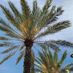 Linda Samuelson - @lindastevesamuelson - Instagram
