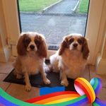 Linda Sharkey - @sharkey1293 - Instagram
