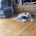 Linda Sharkey - Facebook