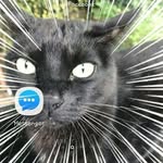 linda  sharp - @lindaannsharp - Instagram