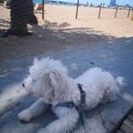 Linda Spangle - @ingeborgkoscielniak2000762 - Instagram