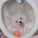 @linda.spitz_ - Instagram