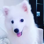Linda Spitz - @linda_spitz - Instagram