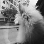 @linda_spitz_ - Instagram