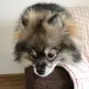 LindaSpitz - @lindaspitz - TikTok