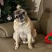 Linda Springman - Facebook