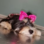 Linda S. Tackett - @lindas.tack - Instagram
