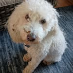 Linda Stackhouse - @linda.stackhouse.7 - Instagram