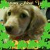 Linda Stapp - Facebook