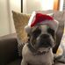 Linda Rasely Steely - Facebook
