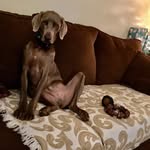 Linda Strait - @linda.strait.549 - Instagram