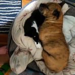 Linda Strode - Facebook