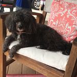 Linda Suttle Latham - @abcmanatee - Instagram