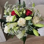 Linda - @lindateerhuis - Instagram