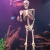 Linda Teerds - @lindateerds - TikTok