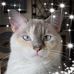 Linda Tefft Cooley - Facebook