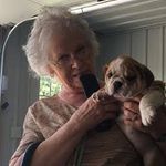 Linda Tower - @revraytower - Instagram
