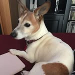 Linda Trace - @linda.trace - Instagram