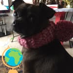 Linda Trace - @lindalou9591 - Instagram
