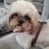 Linda Trace - @linda.trace - TikTok