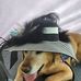 Linda Vellner Trantham - Facebook