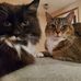 Linda Trinks - Facebook