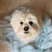 Linda Utterback - Facebook