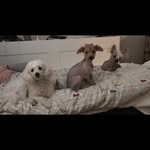 Linda Vold - @artbyvold - Instagram