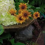 Linda Waldner - Facebook