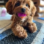 @lindawaldner6 - Instagram