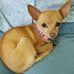 Linda Wanamaker - Facebook