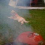 Linda Crouley Werth - @lindawerth - Instagram