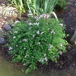 Linda Wicker - @wicker.linda - Instagram