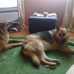 Linda Wilkins - @linda.wilkins.712 - Instagram