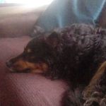 Linda Wilkins - @linda.wilkins.7796 - Instagram