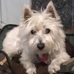 Linda Willcox - @linw1604 - Instagram