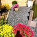 Linda Willcox - Facebook