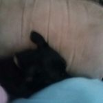 Linda Winchell - @lindawinchell1965 - Instagram