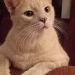 Linda Winchell - @3274smiles - Instagram
