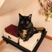 Linda Wise - Facebook